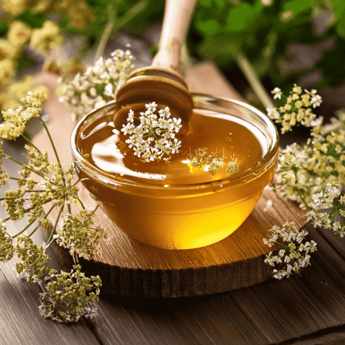 Coriander Flora